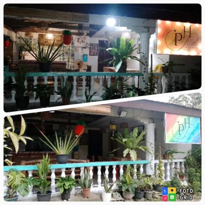 Paraiso Hostel Moalboal Dış mekan fotoğraf